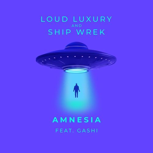 Amnesia (feat. GASHI) [Extended Mix] (Extended Mix) cover art