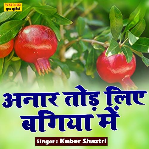 Anaar Tode Liye Bagiya Mein