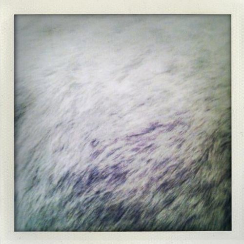 Animales (Niconé Remix) cover art