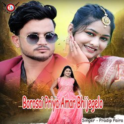 Borosai Priya Amar Bhije Gelo-BSsKckBaBgM