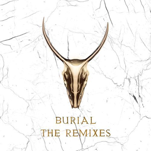 Burial (Skrillex & Trollphace Remix) cover art