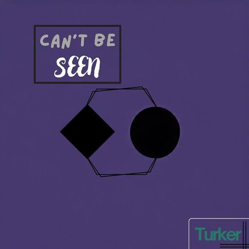 Can't Be Seen_poster_image