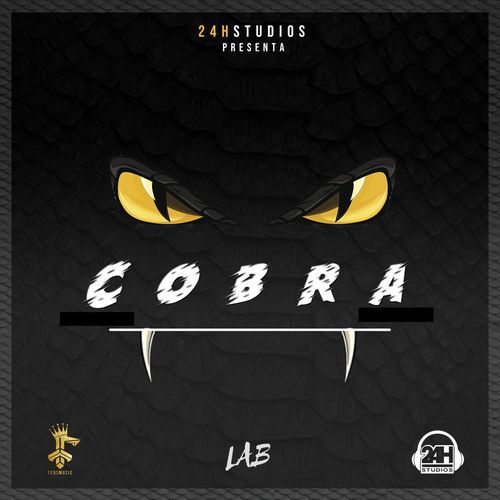 Cobra cover art