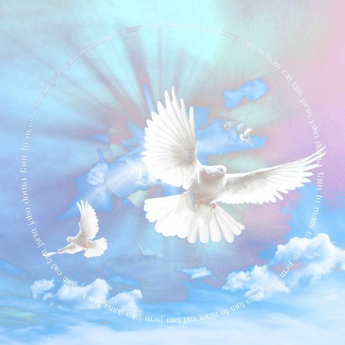 Doma cover art