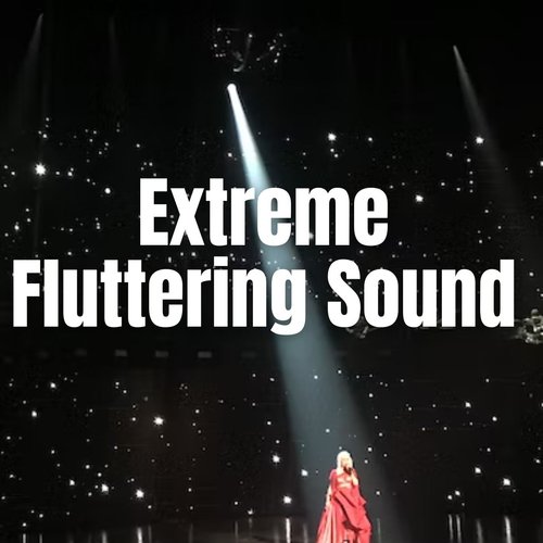 Extreme Fluttering Sound_poster_image