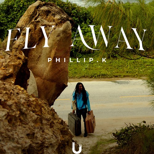 Fly Away_poster_image