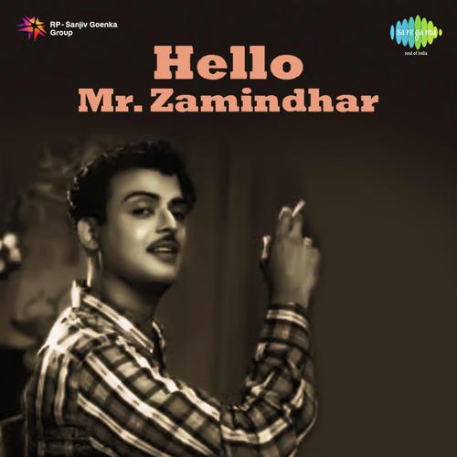 Hallo Mr. Zamindar