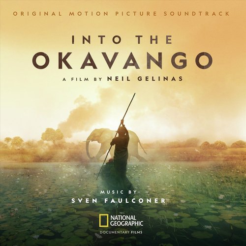Steve cover art