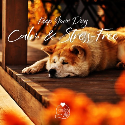 Pet Care Club cover art
