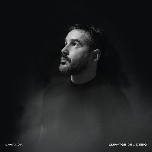 No li diguis amor (feat. The New Raemon) cover art