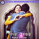 Tame Kemitika Jhia Sate