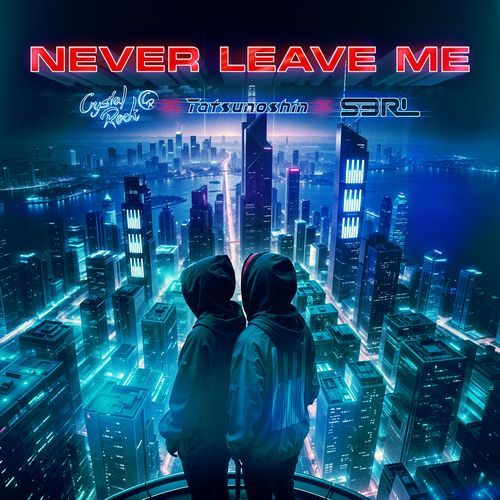 Never Leave Me_poster_image