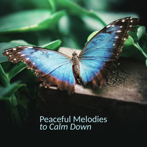 Instrumental cover art