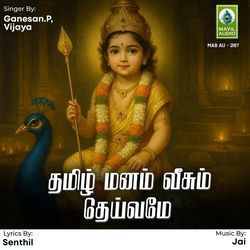 Adi Meedu Adi Vaithu