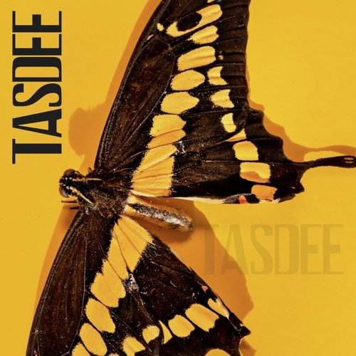 Tasdee_poster_image