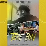 Tere Bin