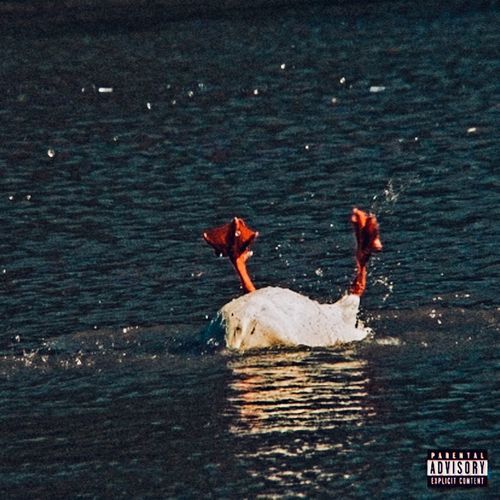 Fixated cover art