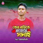 Tor Barite Bajere Sanai