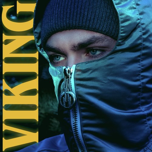 Viking cover art