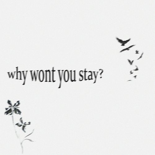 why wont you stay?_poster_image