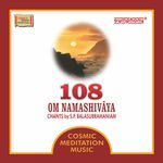 108 Om Namashivaya