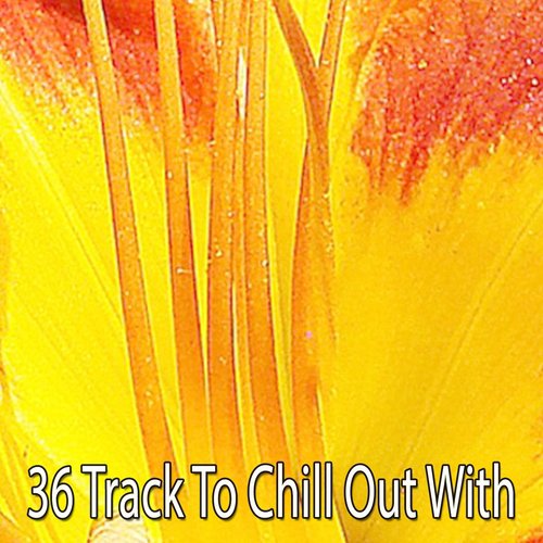 36 Track To Chill Out With