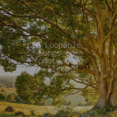 Ephemeral Sunshine Rhythm cover art
