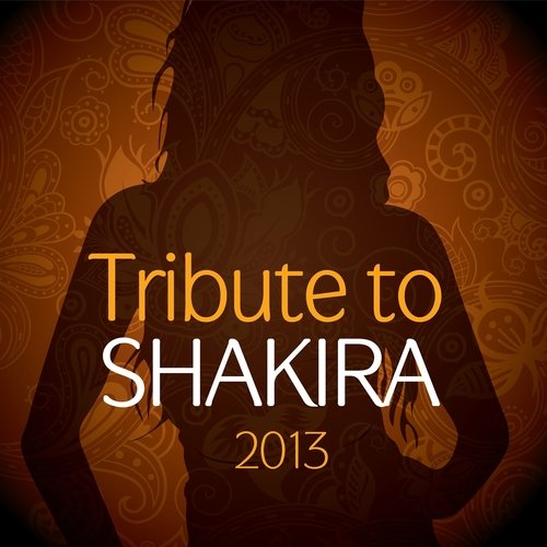 A Tribute to Shakira (2013)_poster_image