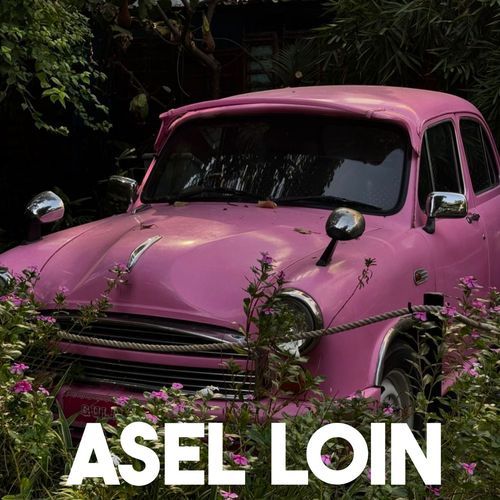 Asel loin_poster_image