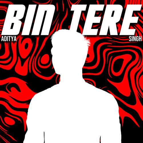 Bin Tere cover art