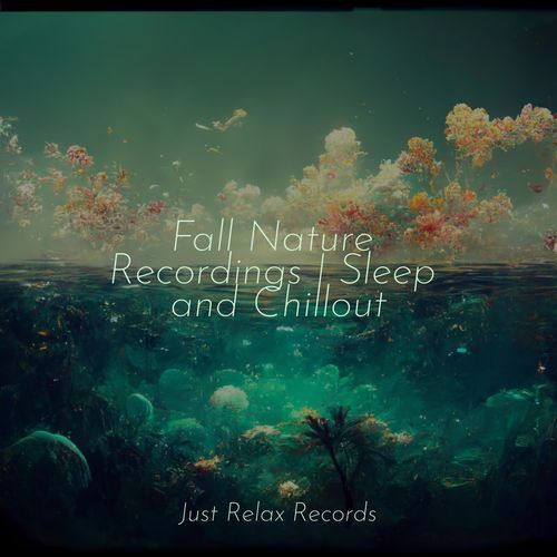 Fall Nature Recordings | Sleep and Chillout