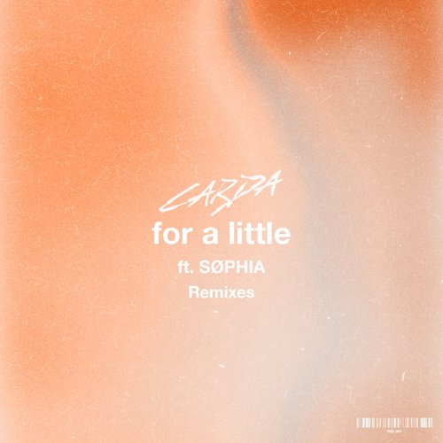 For a Little (Remixes)_poster_image