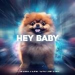 Hey Baby (Drop it to the Floor) (Techno Version)