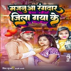 Majanua Rangdaar jila gya ke