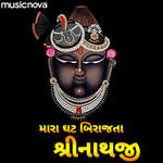 Shreenathji Bhajan - Mara Ghat Ma Birajta Shrinathji