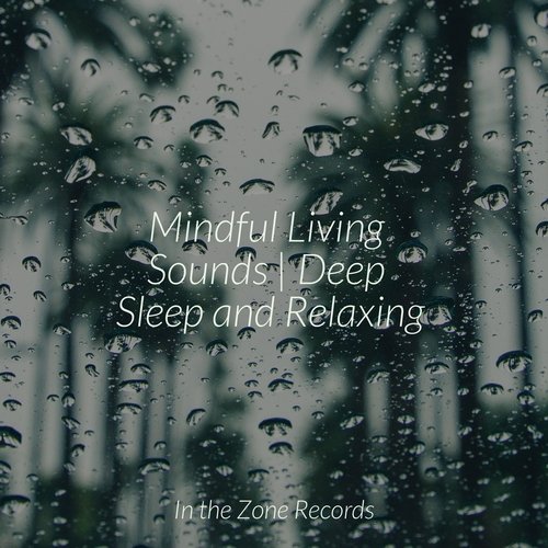 Mindful Living Sounds | Deep Sleep and Relaxing