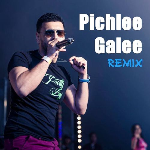 Pichlee Galee (Remix) Feat Bushkin &amp; Illegal Demo (Remix)
