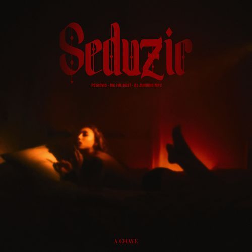 Seduzir_poster_image