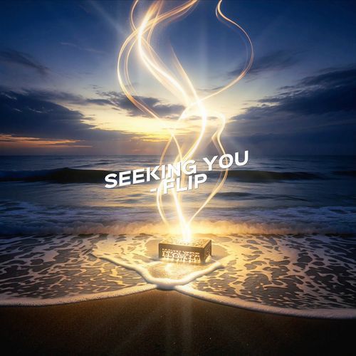 Seeking You Flip