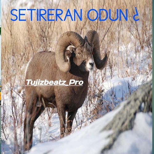 Setireran Odun cover art