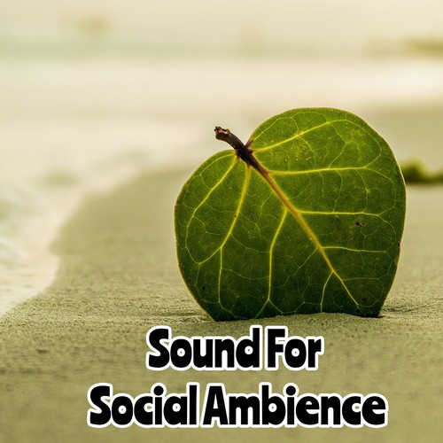 Sound For Social Ambience