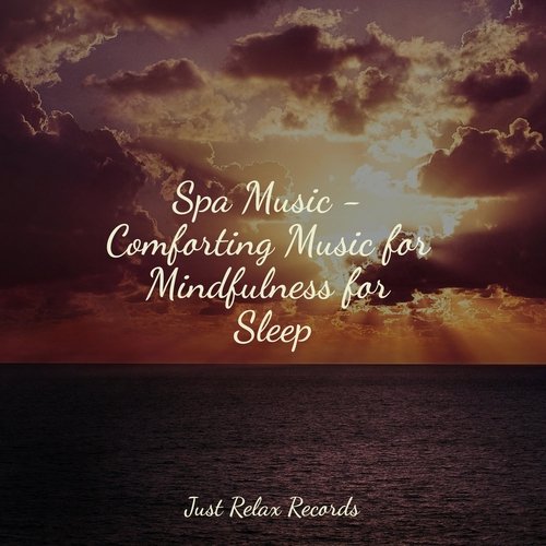 Spa Music - Comforting Music for Mindfulness for Sleep