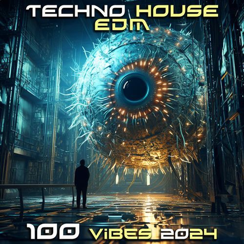 Techno House EDM 100 Vibes 2024