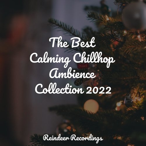 The Best Calming Chillhop Ambience Collection 2022