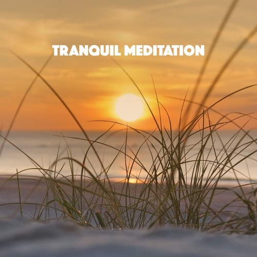 Tranquil Meditation