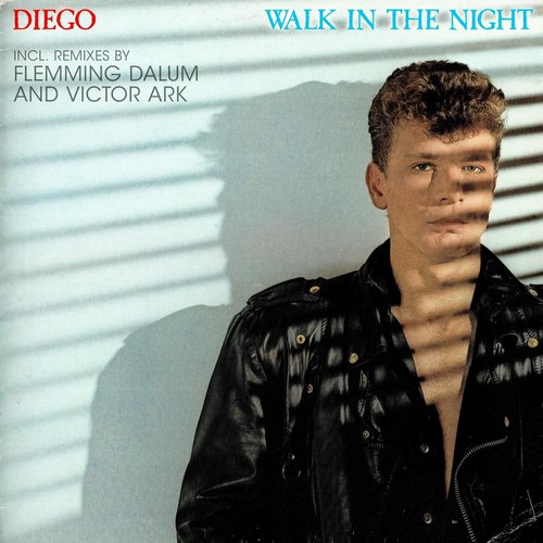 Walk In The Night_poster_image