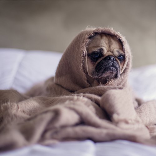 Lazy Morning cover art