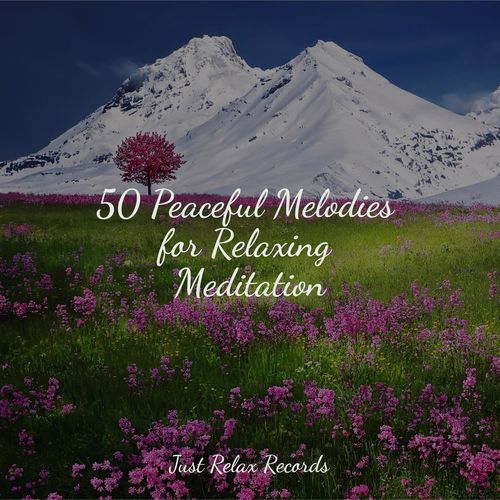 50 Peaceful Melodies for Relaxing Meditation