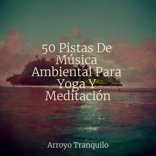 50 Pistas De Música Ambiental Para Yoga Y Meditación