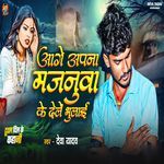 Aage Apan Majanuva Ke Dele Bhulay